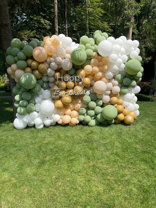 Balloon Wall Backdrop