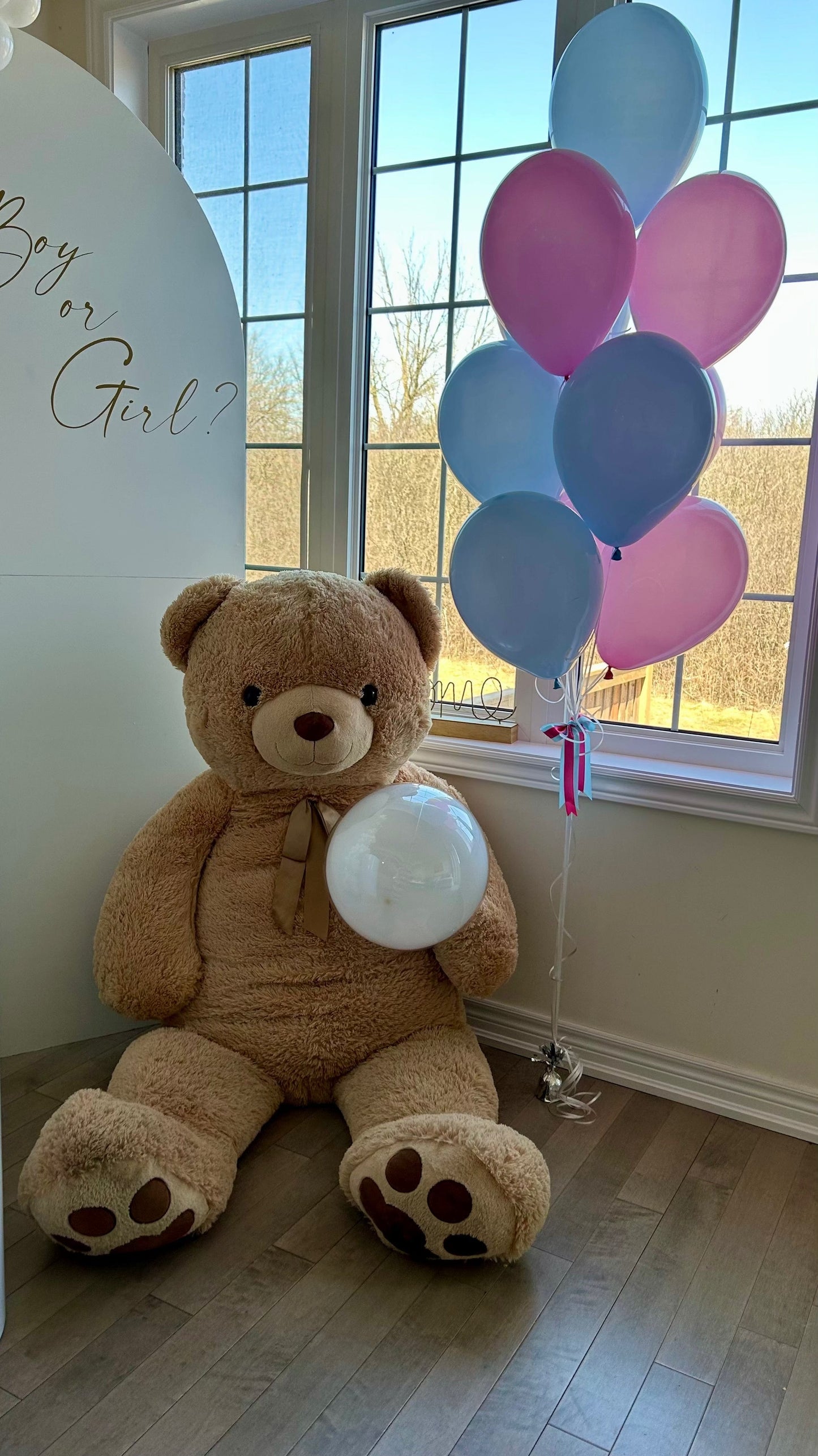 Gender Reveal Balloon Backdrop with Teddy Bear & Cake Table