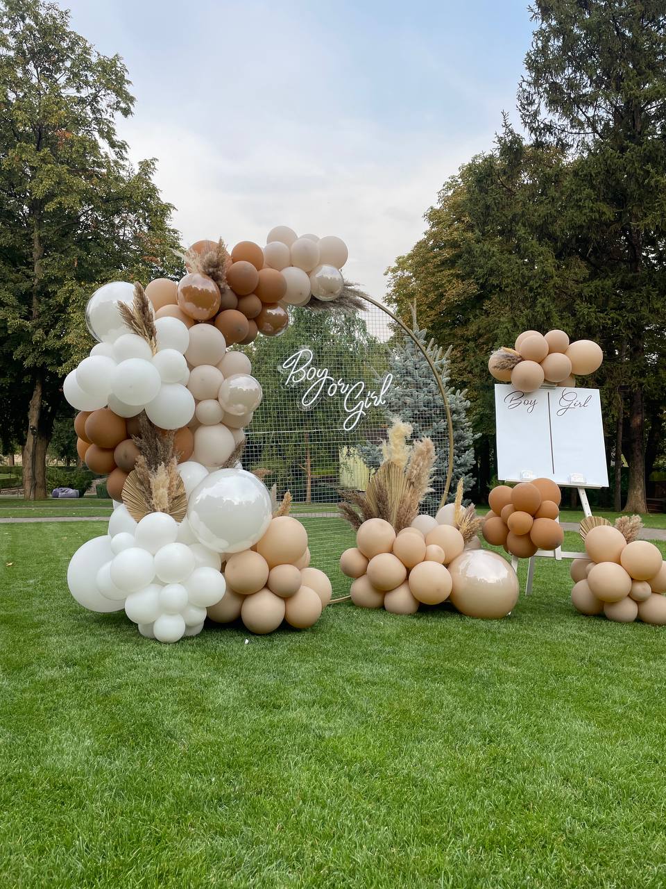 Gender Reveal Backdrops