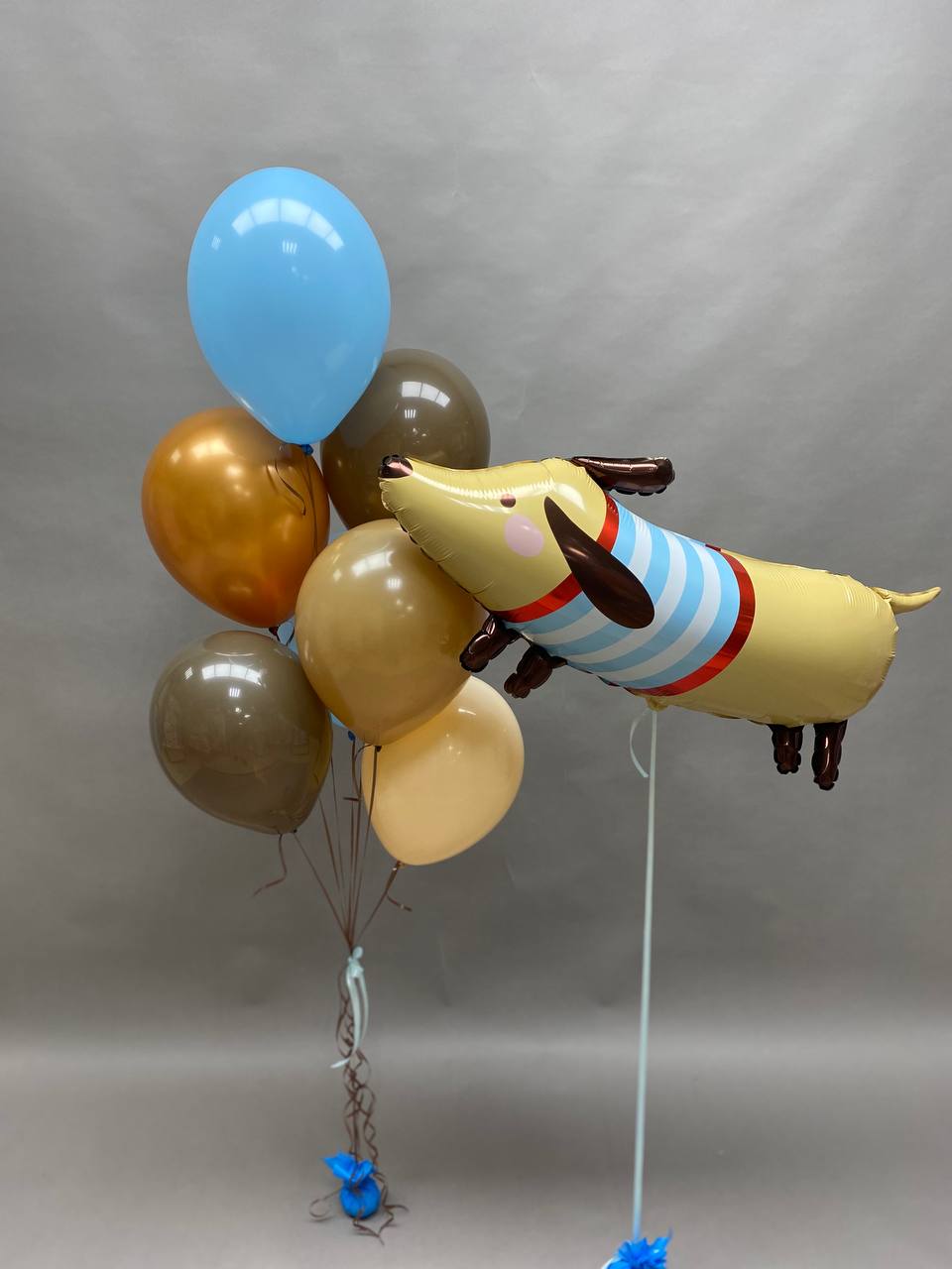 Dog Balloon Set