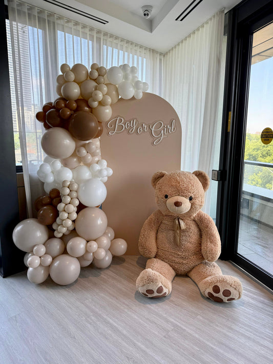 Neutral Teddy Gender Reveal Setup