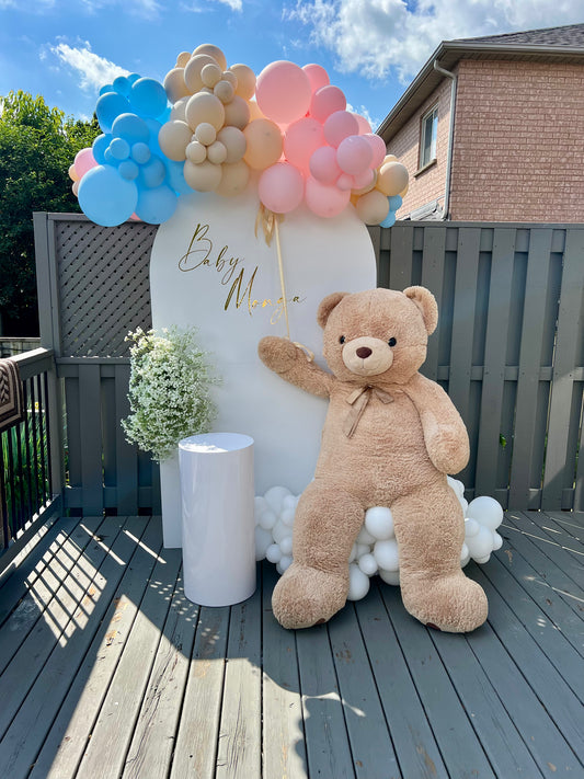 Baby Breeze Gender Reveal setup with white arch, teddy bear, and pastel balloon cloud in pink, blue, and beige