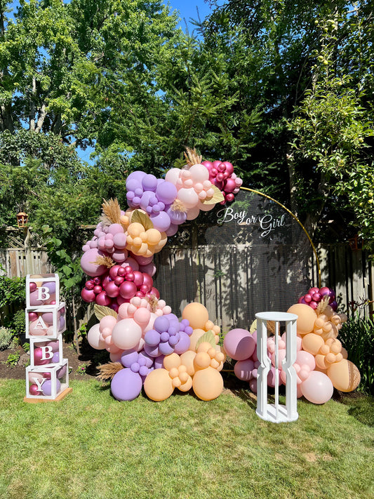 Elegant Boy or Girl Gender Reveal Setup