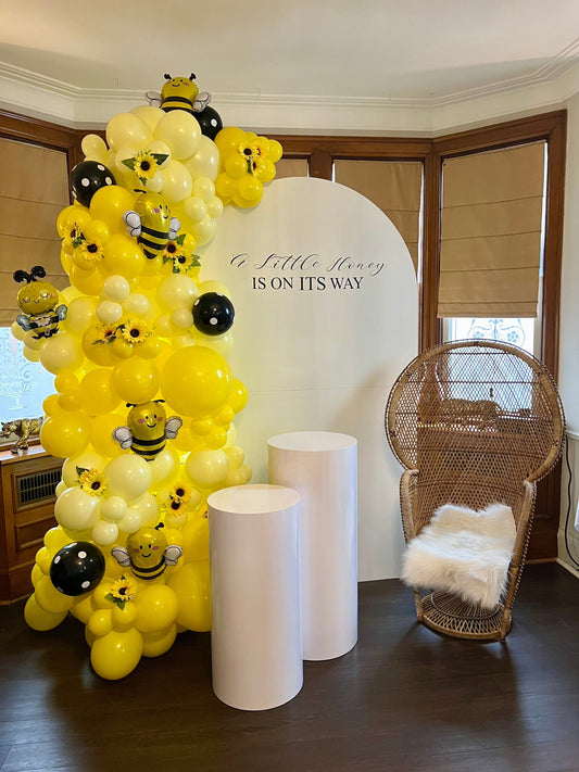 Honey Bee Baby Setup