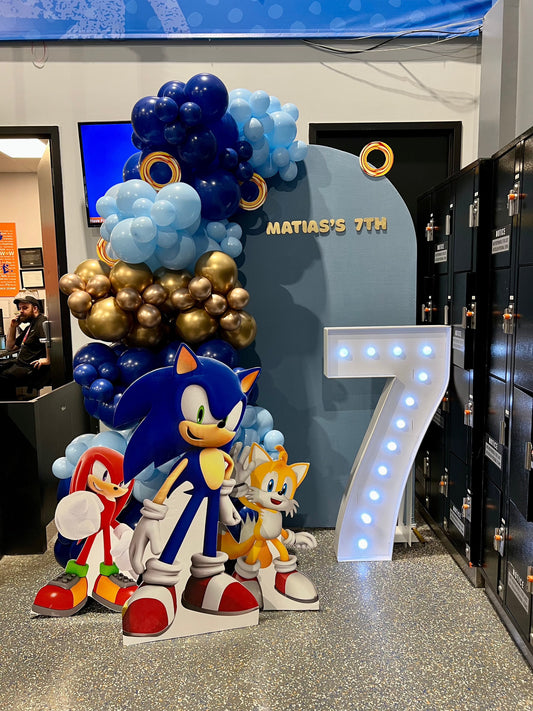 Sonic Speed Celebration Backdrop