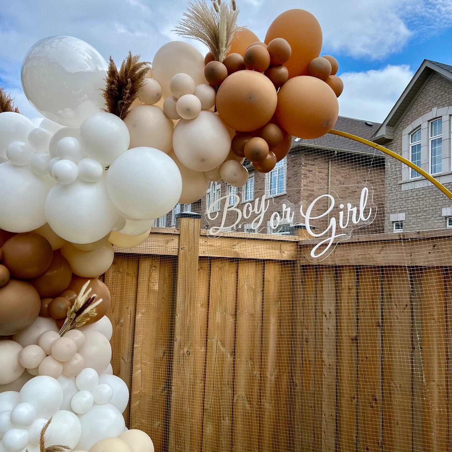 Backdrop – Boy or Girl with Garland & Voting Board