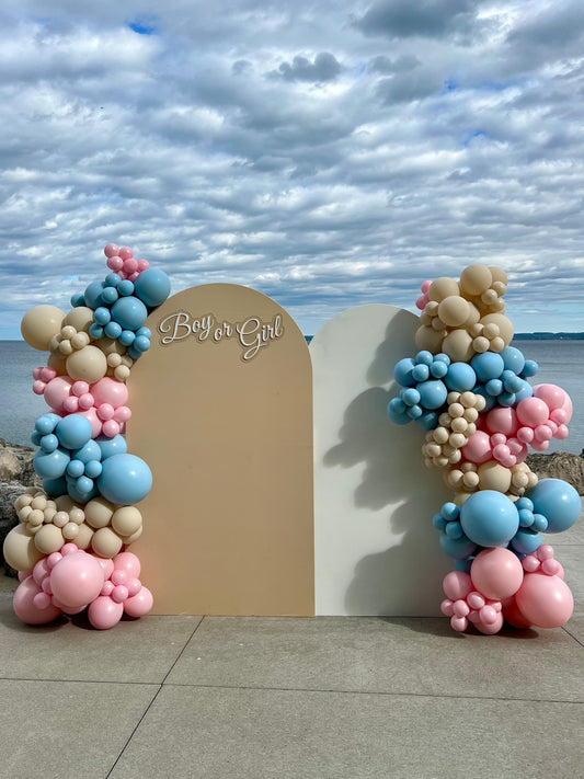 Boy or Girl Gender Reveal Setup